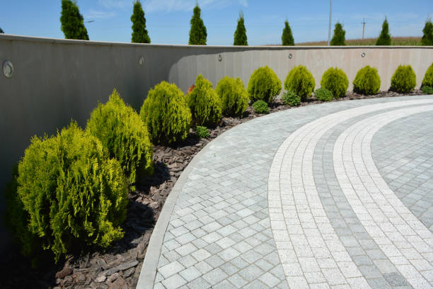 Best Commercial Driveway Pavers  in Eureka Mill, SC